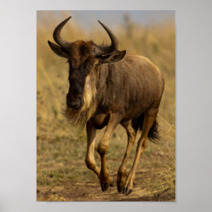 Affiche Running Wildebeest