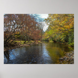 Affiche Rustic River Stream Fall Leaves Nature Photography