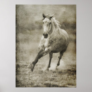 Affiche Rustique Galloping Cheval andalou