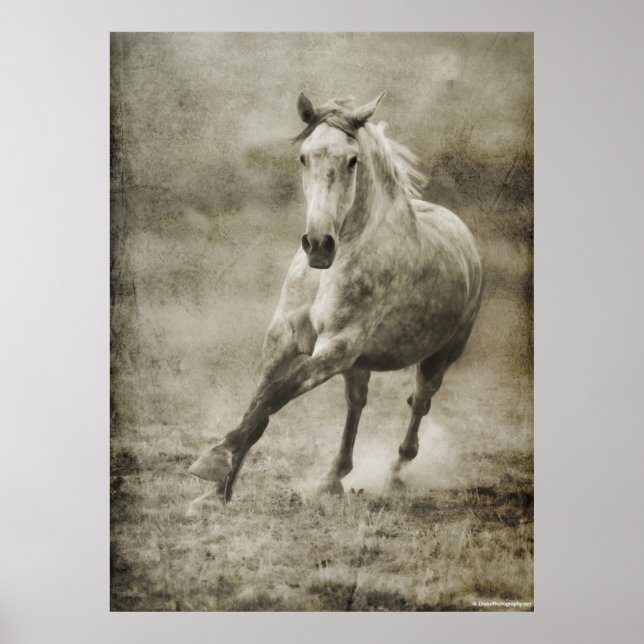 Affiche Rustique Galloping Cheval andalou (Devant)