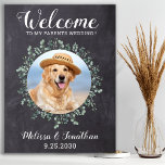 Affiche Rustique Mariage animal de compagnie Bienvenue pho<br><div class="desc">Bienvenue ~ À Mes Parents Mariages! Inclure votre meilleur chien, meilleur chat et tout animal de compagnie dans votre mariage avec son propre signe de bienvenue mariage animal de compagnie pour vos invités. Parfait pour les amoureux de les chiens, fait le parfait signe de chien mariage. Ardoise rustique simple mais...</div>