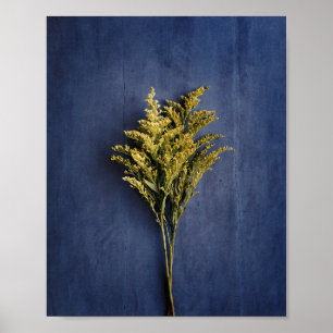 Affiche Rustique Yellow Goldenrod Photo botanique