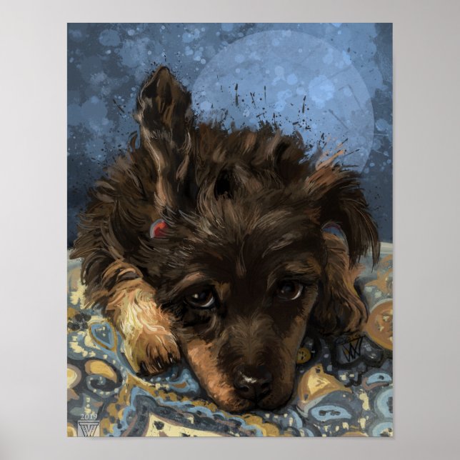 Affiche Rusty le Caniche (Devant)