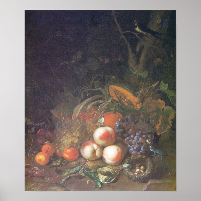 Affiche Ruysch - Fruit, Nature morte avec un nid d'oiseau (Devant)