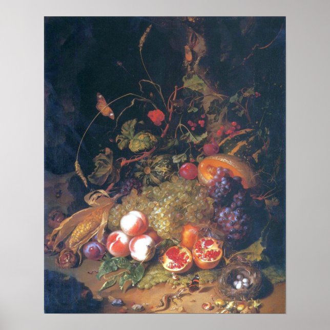 Affiche Ruysch - Vie Morte Avec Fruit, Un Nid, Lizard (Devant)