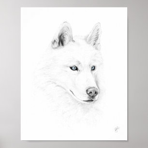 Affiche Saber Un Husky Sibérien Dessinant Des Yeux Bleus