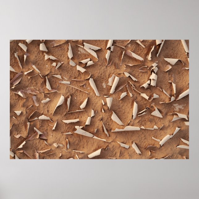 Affiche Sable (Devant)