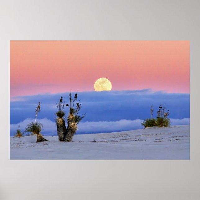 AFFICHE SABLE BLANC (Devant)