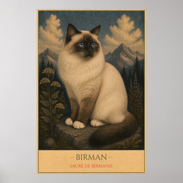 Affiche Sacred Grace: Birman Cat (Devant)
