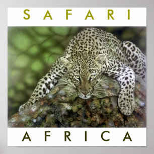 Affiche Safari Afrique