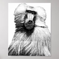 Safari d'illustrations de la jungle de singe de ba