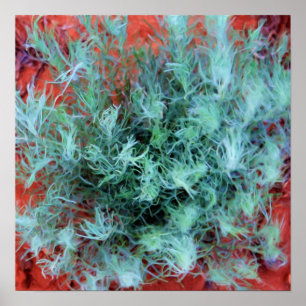 Affiche Sage du désert