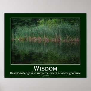 Affiche Sagesse Confucius Citation Cattails Inspiration