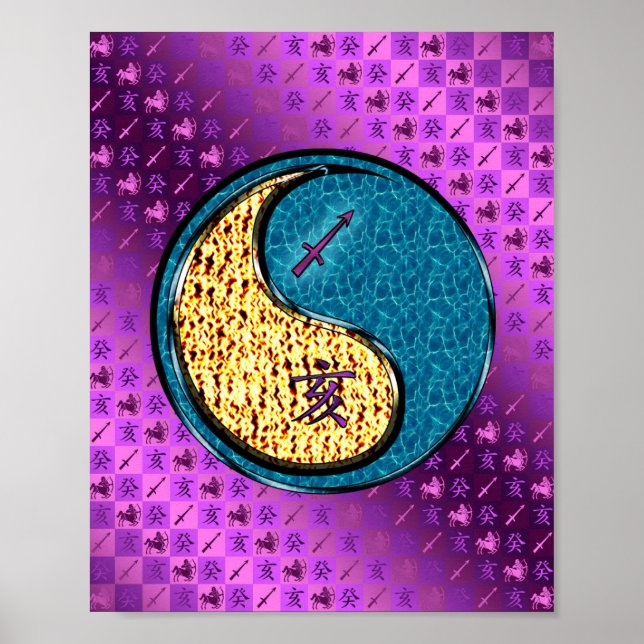 Affiche Sagittarius & Water Boar (Devant)