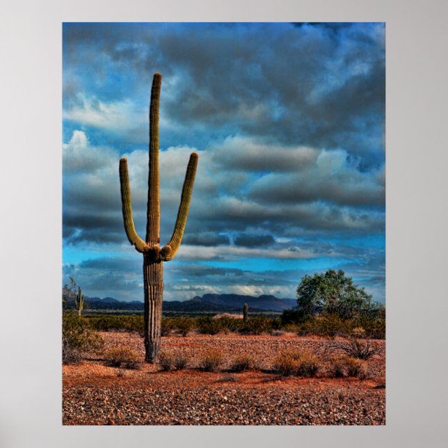 Affiche Saguaro (Devant)