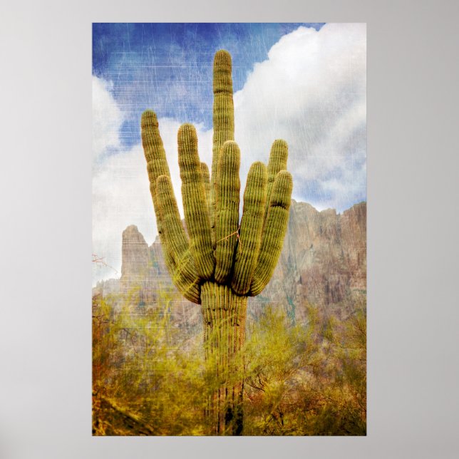 Affiche Saguaro Cactus (Devant)