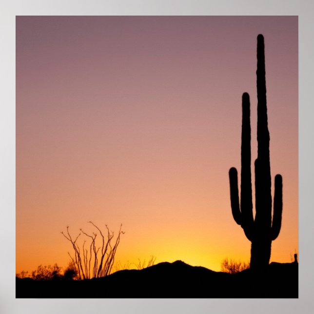 Affiche Saguaro Cactus au coucher du soleil (Devant)