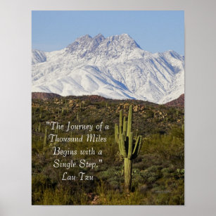 Affiche Saguaro Cactus Montagnes enneigées Arizona USA