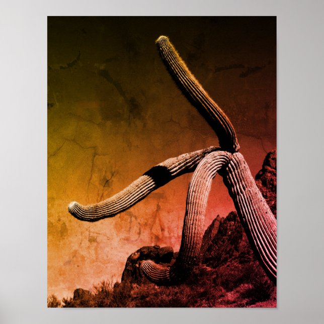 Affiche Saguaro Cactus Photographie d'art en style rustiqu (Devant)