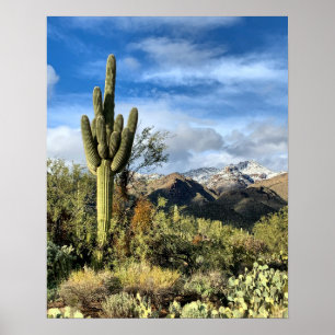 Affiche Saguaro Cactus Winter Arizona Photo