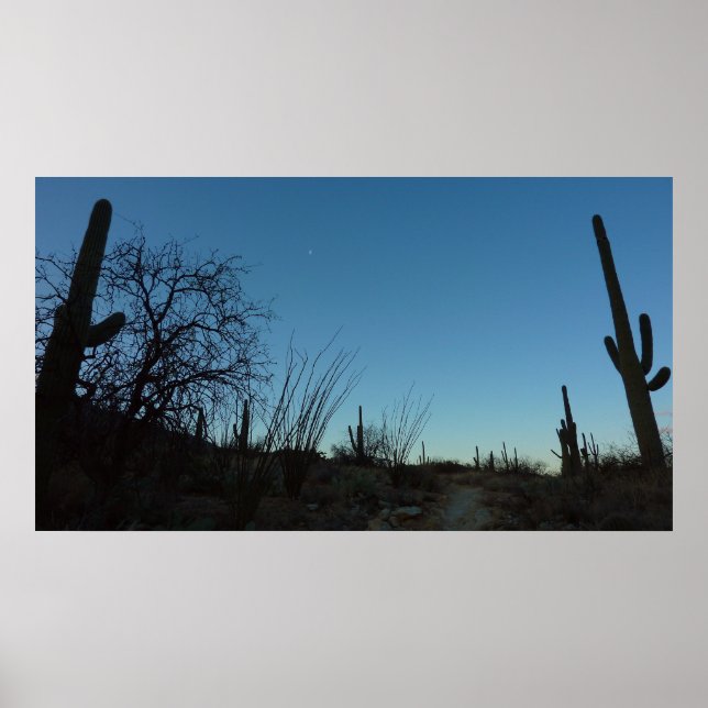 Affiche Saguaro Matin au Parc national du Saguaro (Devant)