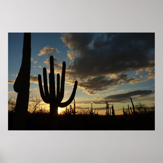 Affiche Saguaro Sunset II Arizona (Devant)