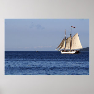 Affiche Sailboat Lake Michigan