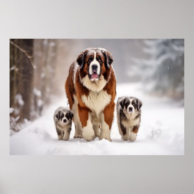 Affiche Saint Bernard Animaux de chiens de compagnie Famil (Devant)