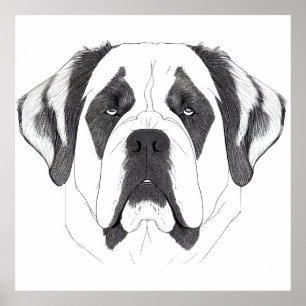 Affiche Saint Bernard Chien Nature sauvage Illustration an