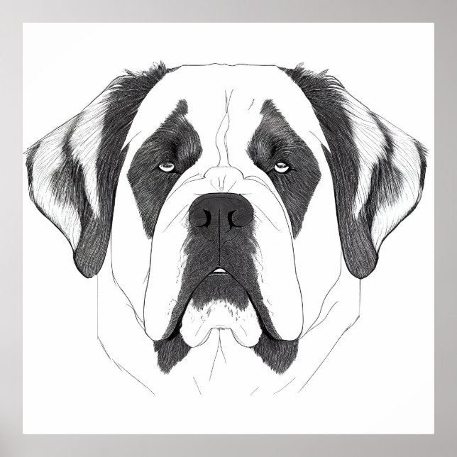 Affiche Saint Bernard Chien Nature sauvage Illustration an (Devant)