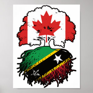 Affiche Saint-Kitts-Kittiti Canadian Canada Arbre Racines