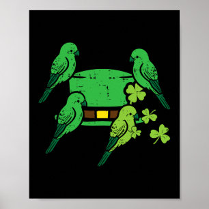 Affiche Saint Patrick Jour Oiseaux Casquettes Saint Paddys