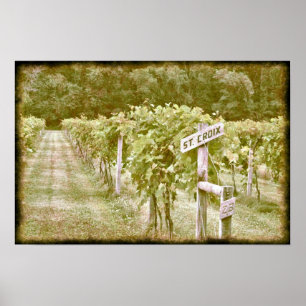 Affiche Sainte-Croix