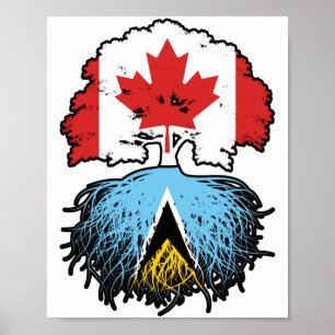 Affiche Sainte-Lucie Sainte-Lucie Canadian Canada Tree Roo