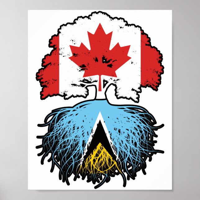Affiche Sainte-Lucie Sainte-Lucie Canadian Canada Tree Roo (Devant)