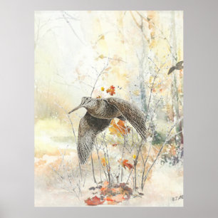 Affiche Saison de chasse à la bécasse