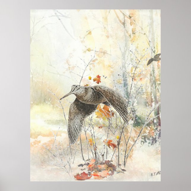 Affiche Saison de chasse à la bécasse (Devant)