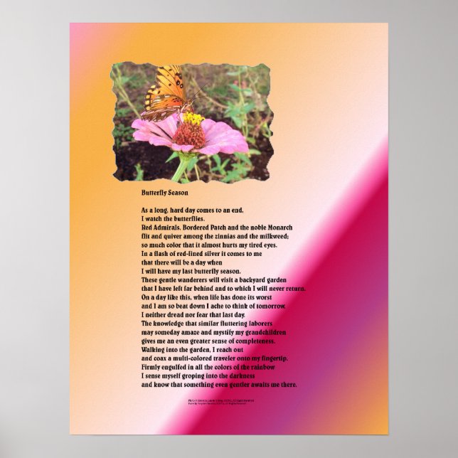 Affiche Saison des papillons - Désert (Devant)