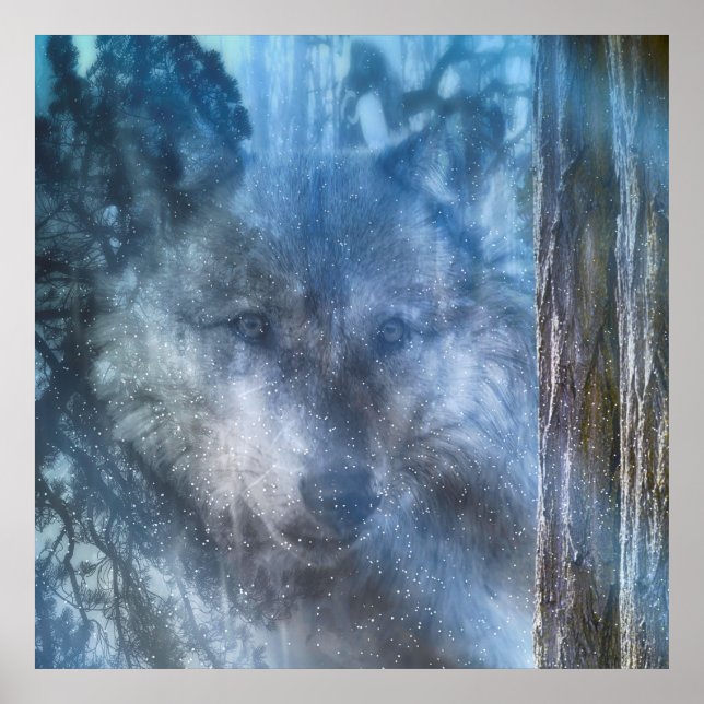 Affiche SAISON DU Loup gris DU LOUP (Devant)