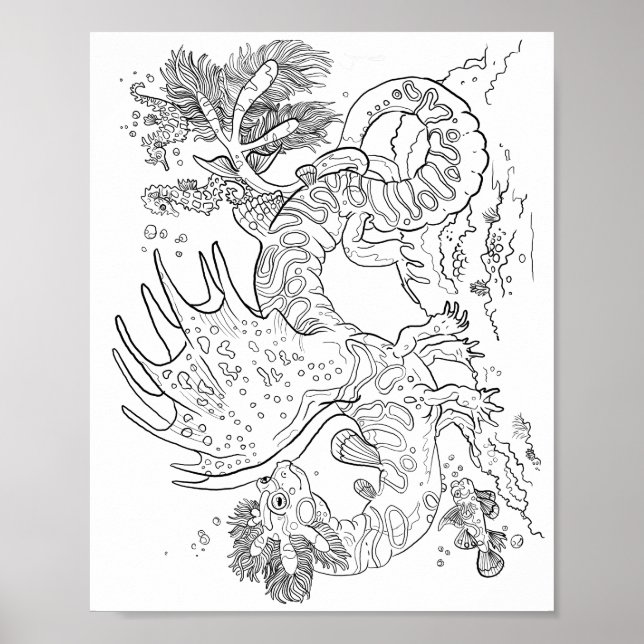 Affiche Salamandarin Sea Dragon Line Art Couleur de votre  (Devant)