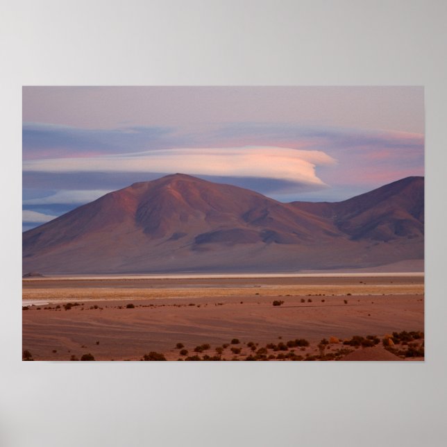 Affiche Salar del Huasco, Chili (Devant)