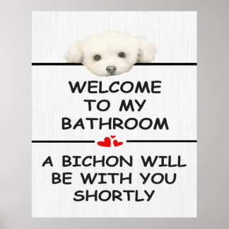 Affiche Salle de bain Bichon frisé
