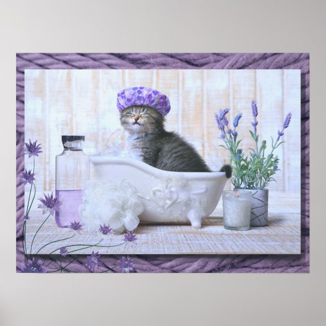 Affiche Salle de bain Chat dans un bain (Devant)