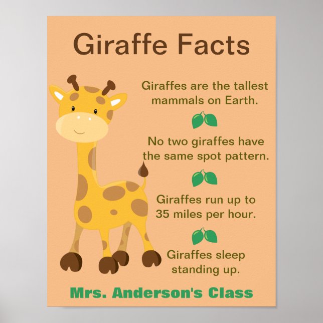 Affiche Salle de classe Giraffe Facts (Devant)