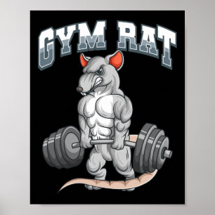 Affiche Salle De Fitness Rat Fitness Bodybuilding