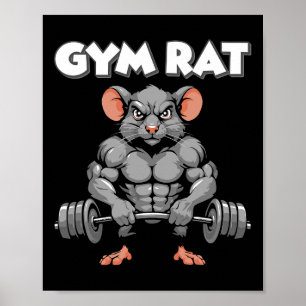 Affiche Salle De Sport Rat Fitness Bodybuilding Entraîneme