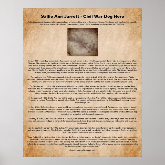 Affiche Sallie Ann Jarrett, héros du chien de guerre civil (Devant)