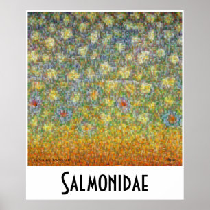 Affiche Salmonidae Skins Montage Postage