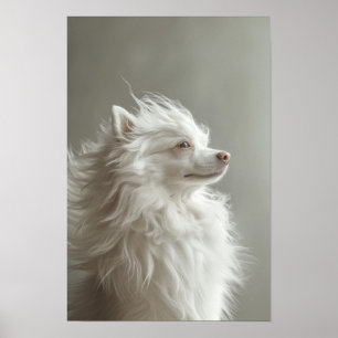 Affiche Salon Animaux de compagnie Boutique Spitz Portrait