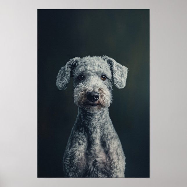 Affiche Salon pour animaux de compagnie Bedlington Terrier (Devant)